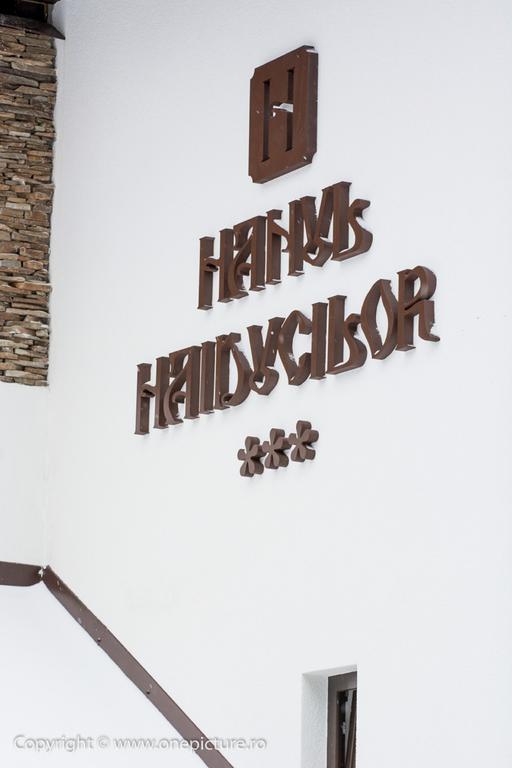 Hanul Haiducilor Обарсия Лотрулуи Екстериор снимка